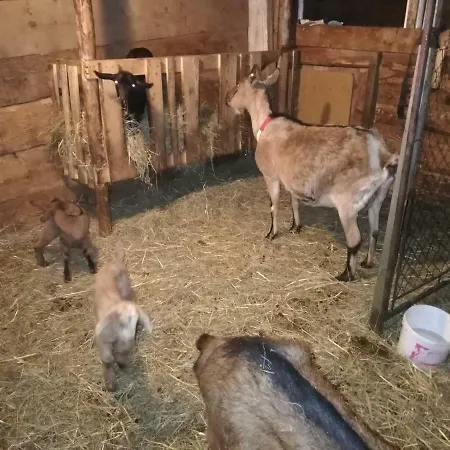 Casa vacanze Na Stezce *