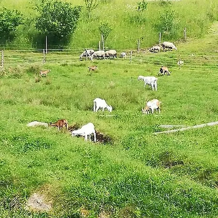 Na Stezce Casa vacanze